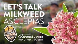 Let's Talk Milkweed (Asclepias)  Garden Guru Sean at The Gardener's Center