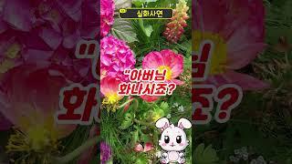 시어머니 유품에서 발견된 첫사랑 편지가 시아버지에게 들켰습니다 #인생사연 #시아버지 #며느리 #실화사연 #사연