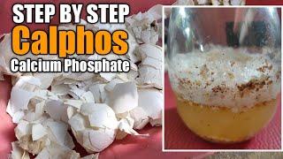 PAANO GUMAWA NG CALPHOS CALCUIM PHOSPHATE | IBANG MATERIALS NA PWEDENG GAMITIN AT BENEFITS NITO