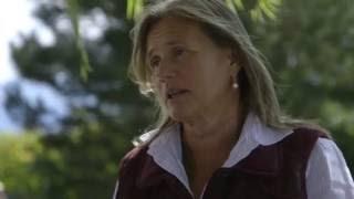 Tapiz & Zolo wineries; Vino del Sol #20