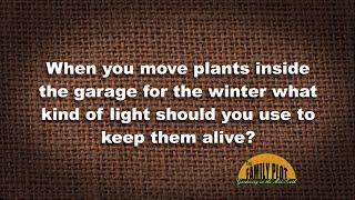 Q&A – What light do you need when you put plants in the garage for the winter?