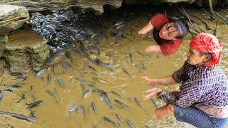 Successfully separate trash fish from the pond for the mother - Ban Thi Diet