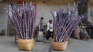 Grandma shows how to make sugarcane brown sugar｜Guangxi grandma