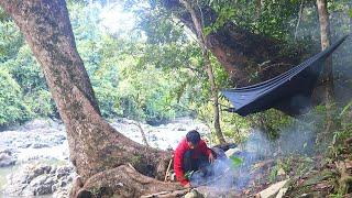 Camping fishing suasana baru hutan kalimantan panen ikan hasil mancing