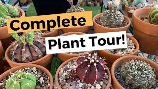 Complete Collection Plant Tour part 2|Cactus, Succulents, Desert Plants