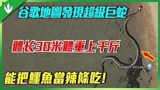 谷歌地圖無意間發現世界最長巨蛇，體長超過30米，能把鱷魚當辣條吃，到底是史前巨獸還是未知生物？