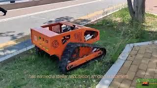 factory direct sales low wholesale price China roadside RC mower #remotecontrolmower #slopemower