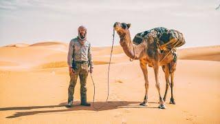 8 Tage durch die Sahara - Wüsten DSÜ mit Kamelen | Teil 1