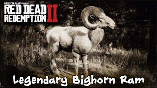 How To Kill The Legendary Bighorn Ram  -  Red Dead Redemption 2