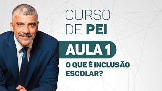 AULA 1 - INCLUSÃO ESCOLAR (Curso intensivo de PEI para pais e educadores 2025)