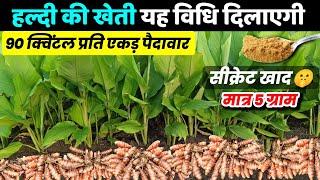 हल्दी की उन्नत खेतीHaldi ki kheti kaise karen Turmeric farming 2024/25 A to Z video