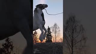Horse lullaby (Лошадиная колыбельная) feat. Arina Libontova, Titan and Eluna #Shorts
