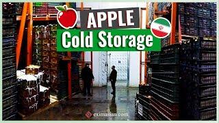 Cold Storage of Apple in Iran | EXIM Asian International Trading Group