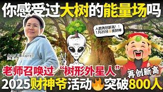 【聊聊天16】你感受过大树的能量场吗老师曾经召唤过“树形外星人”‼️2025财神爷活动能量大爆发突破800人报名‼️再创新高 #soul #soulawakening #ann老师