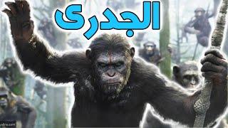 نوليدجستان | جدري القرود(النسناس)  تعرف علي الفيروس الجديد واعراضه وعلاجه وطرق الوقاية 