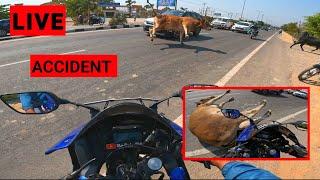 Suzuki SUV CAR Live cow crash on Highway Meerut  #live #highway #rider #vloger#viral