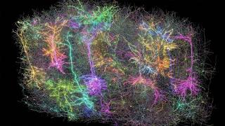 А вот это самая шокирующая теория! Что если каждый атом это целая Вселенная? Физики убеждены