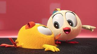 Skate Time! | Where's Chicky? | Cartoon Collection in English for Kids | New episodes
