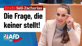 Die Frage, die keiner stellt! – Enxhi Seli-Zacharias (AfD)