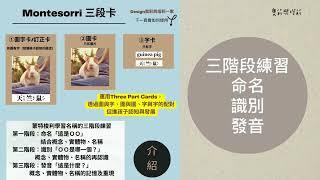 【蒙特梭利三段卡與三階段練習】贈送認知卡片｜共學資源分享