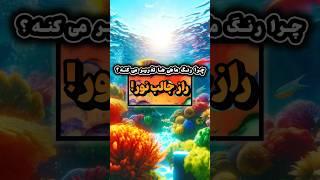 نور ندی، ماهیت رنگش می‌پره!  #شورتس