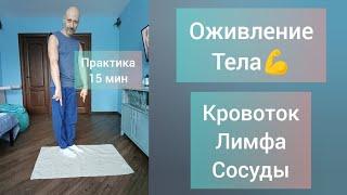 15 минут в день для здоровья ног и позвоночника. Улучшение кровоснабжения, активация лимфы и сосудов