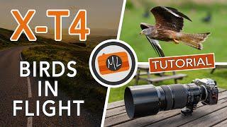 Fujifilm X-T4 Birds in Flight Review and Tutorial