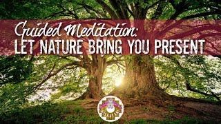 Let Nature Bring You Present -a Guided Meditation.