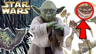 What Else Lived On Dagobah? - Star Wars Explained