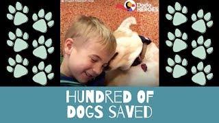 Woof World Amazing Rescue Stories | Heart-touching Little Boy Has Saved HUNDREDS Of Shelter Dogs