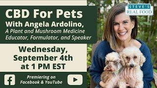 CBD For Pets with Angela Ardolino, Plant and Mushroom Medicine Educator, Formulator, and Speaker