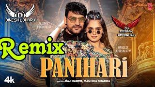 Panihari Song Remix | Ajay Hooda New Hr Song 2024 | Na Pahra Kar Bhide Bhide Suit Panihari