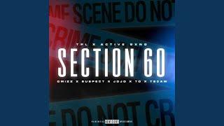 Section 60