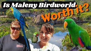 Review: Is Maleny Botanic Gardens & Bird World Worth visiting in the Sunshine Coast Hinterland?