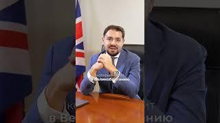 Как пользоваться eVisa?