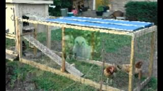 Where to buy used chicken coops for sale| Safe site online to buy used chicken coops for sale