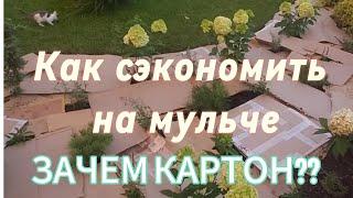 Мульчируем правильно. Картон и мелкая фракция коры.Полоть больше не нужно! Как сэкономить на мульче!