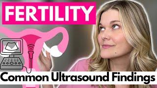 What Can An Ultrasound Reveal About Your Fertility and Reproductive Health?