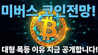 미버스 코인전망 대형 폭등 이유는 바로!