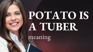 Understanding Plant Types: The Tuber, Featuring the Potato