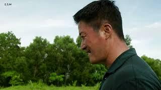 Jiuming Fights with reptilian | Meg 2: The Trench - 2023 #movie #megalodon