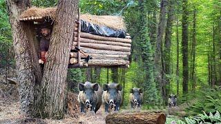 Building of a flying shelter | Great way to hide from a wild boar