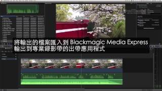 Final Cut Pro X 使用 Role 製作聲音分軌輸出方式