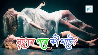 মৃত্যুর পরে কী ঘটে? পুনর্জন্ম এবং আত্মার অস্তিত্ব | What happens after death? Soul | Reincarnation