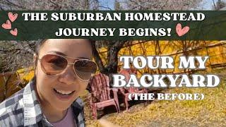 Tour Our Backyard! Starting Our Suburban 1/2 Acre Homestead Journey