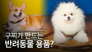 구찌가 만드는 반려동물 용품은? #shorts