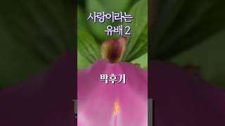사랑 시 11편 ㅣ사랑이라는 유배 2ㅣ 박후기 #책읽는라디오s