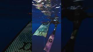 Alchemy Aurora By Yamamoto - The Next Evolution In Carbon Freediving Fins