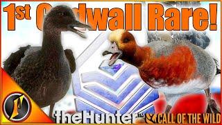 I LOVE Chasing Rare Waterfowl in Call of the Wild | Melanistic Gadwall +  Wigeon!