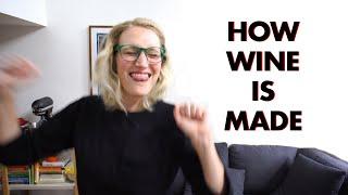 The Fermentation Diaries, Pt. 1: How Wine Is Made